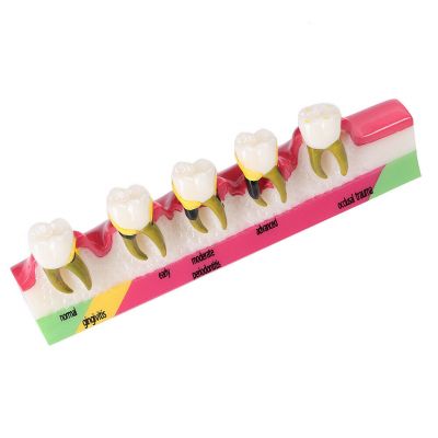 14 Unique Charming and Classy Gifts for Dentists  All Gifts Considered