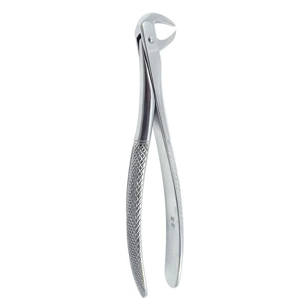 Dental Cowhorn Lower Molar Forcep Fig. No 86