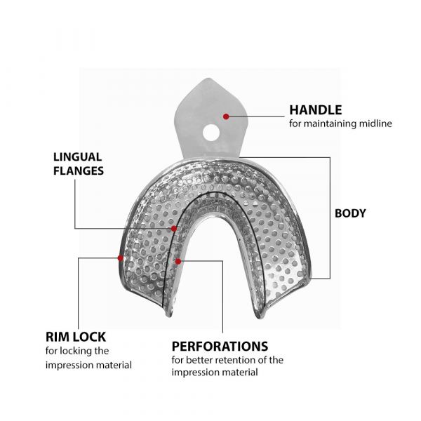 Dental Perforated Rim Lock Dental Alginate Impression Trays-5 Pair)