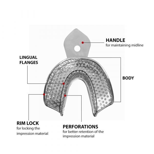 NMD Nexus Medodent Dental Rim Lock Impression Tray Dentulous German Stainless Steel (Set of 8)
