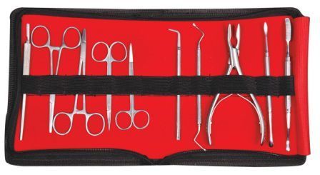 Dental surgical Instruments kit Pack of 10 Pcs