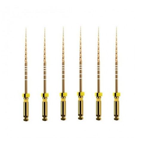 Golden Super Niti Rotary File (F1-25MM)