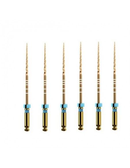 Golden Super Niti Rotary File (F3-21MM)