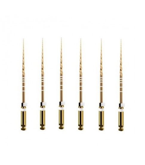 Golden Super NiTiRotary Files-21 MM-S2