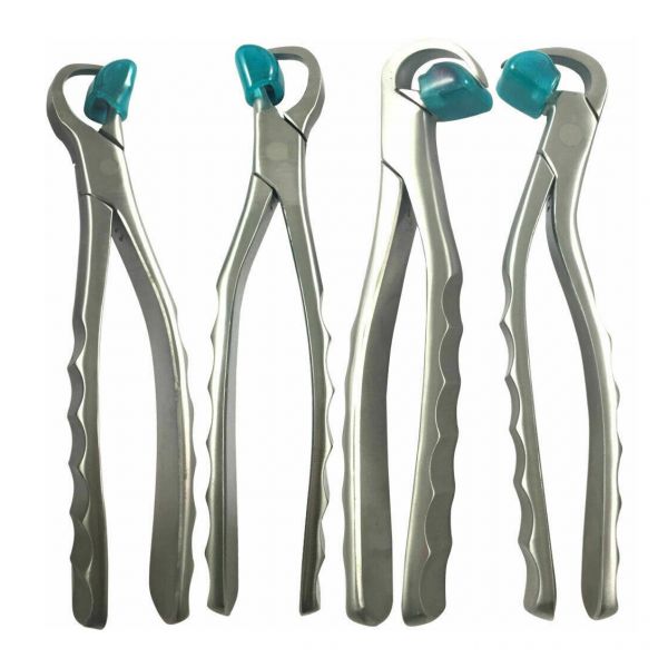 Dental Physics Forcep (pk of 4)