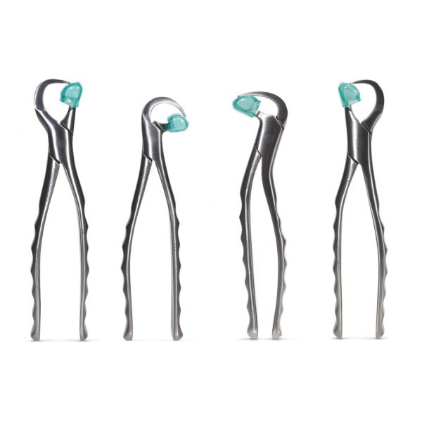 Dental Physics Forcep (pk of 4)