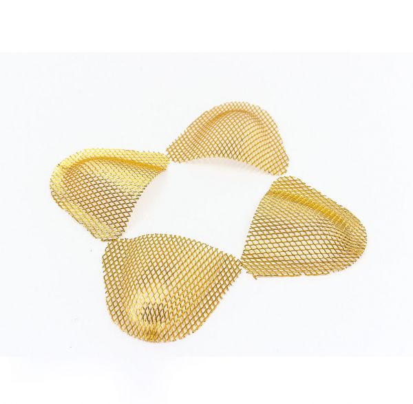Denture mesh