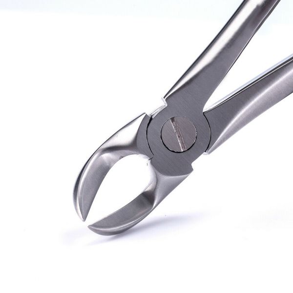 Dental Lower Separating Molar Forcep Fig. No 56
