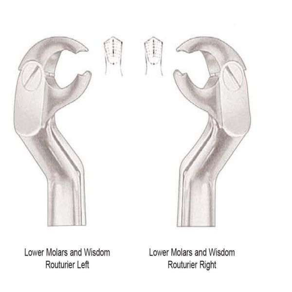 Modified 3rd Molar Forceps (Left-Right Pair)