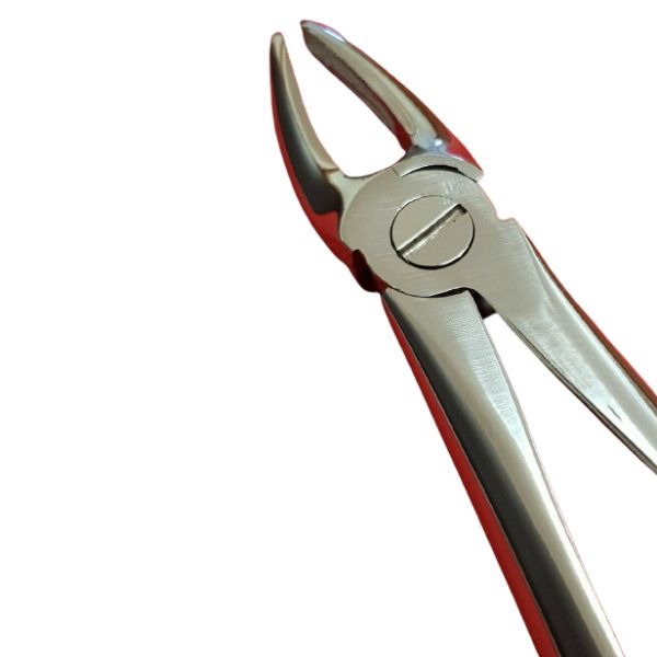 Dental Upper Laterals And canines Forcep Fig. No 2