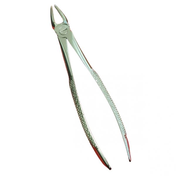 Dental Upper Laterals And canines Forcep Fig. No 2