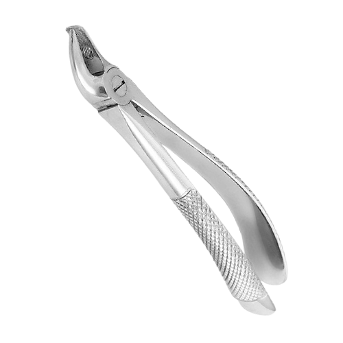 NMD Dental Upper Molar Right Cowhorn Fig. No 89
