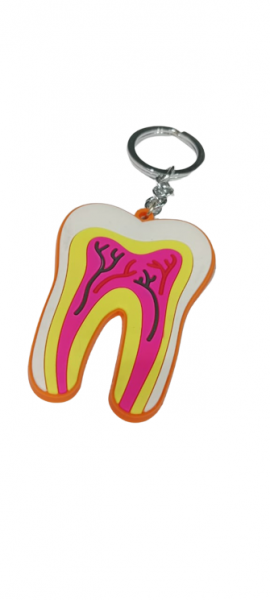 NMD Nexus Medodent Dental Root shape large size Rubber kaychain (Pack of 1)