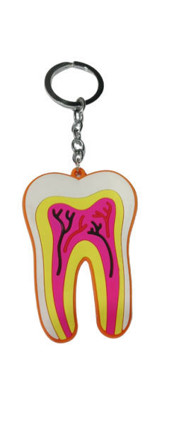 NMD Nexus Medodent Dental Root shape large size Rubber kaychain (Pack of 1)