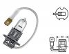 12V 55W Bulb Chair Halogen Light/Mirchi Lamp with Tail (White)