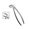 NMD Dental Lower Premolar Forcep Fig. No 13