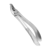 NMD Dental Upper Molar Right Cowhorn Fig. No 89